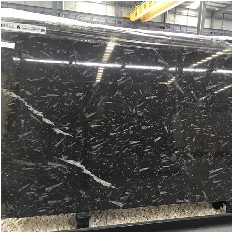 Fossil Black Marble Polished Slabs