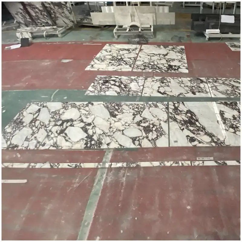 Calacatta Viola Marble Floor Tile Calacatta Viola Marble Floor Tile