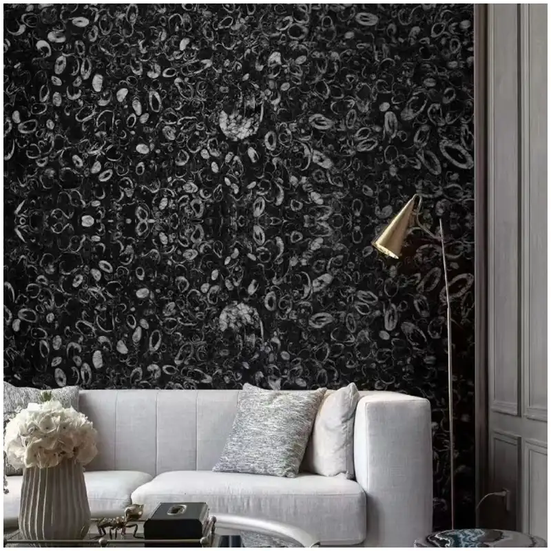Fossil Black Marble feature wall design displaying white fossil patterns in dark stone panels