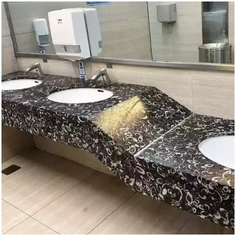 Fossil Black Marble shopping mall bathroom interior wall and decorative stone design