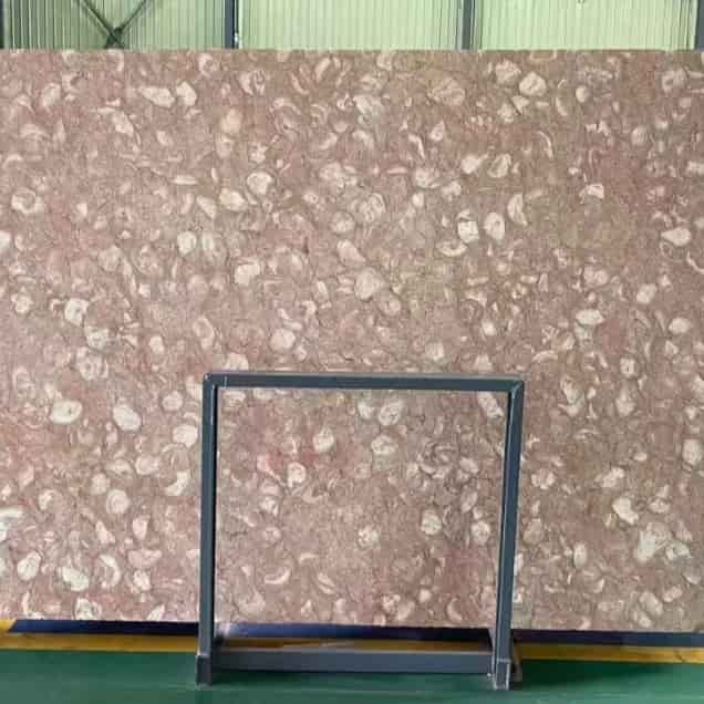 Seashell Grain Marble Seashell Grain Marble