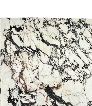 Calacatta Viola marbl